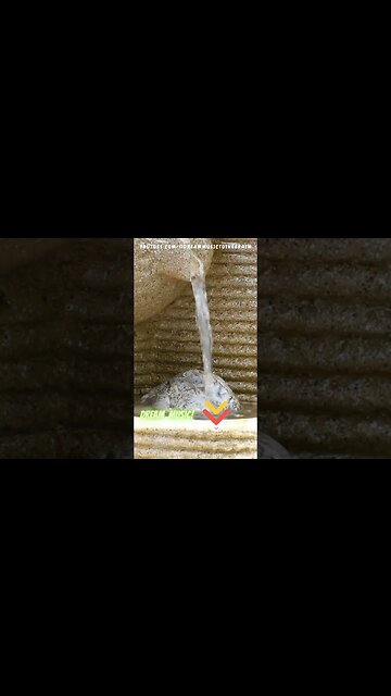 🎶🌞 Melodic Abundance Symphony | Embrace Prosperity | Zen Garden Harmony 🌸#shorts