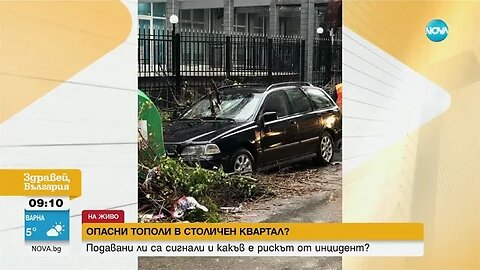 Още сигнали за опасни дървета в район „Изгрев” в София