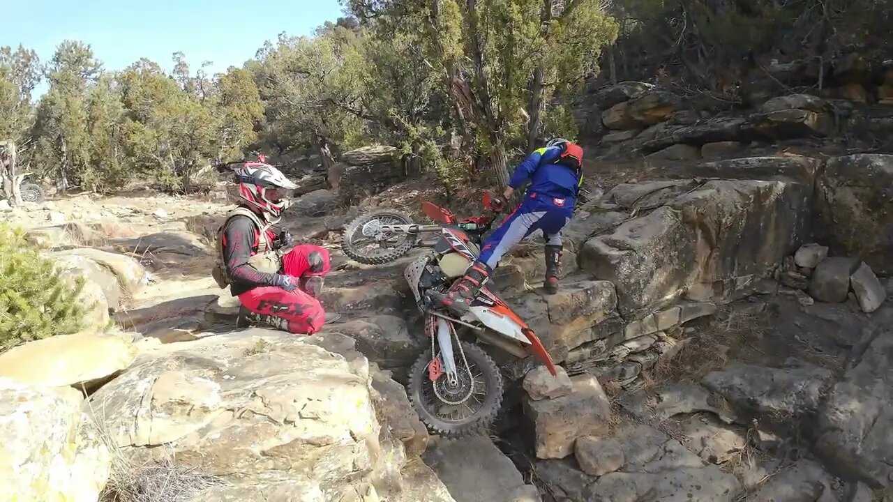 Up the Waterfall Trail Obstacle