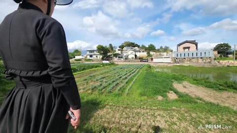 특별 영상 부국강병tv 제공... 저승사자가 곰죄인 체포.22.6.26...