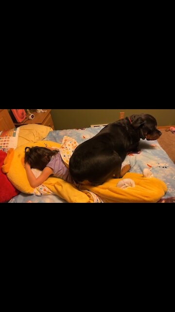 Rottie Says It’s Time To Get Up!