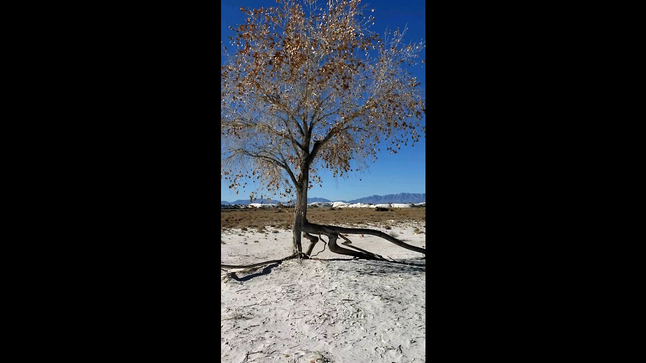 White Sands National Park & Silver Bar