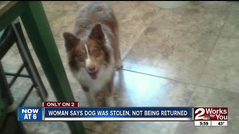 Neighbors take dog, refuse to return to "owner"