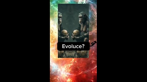 Evoluce?