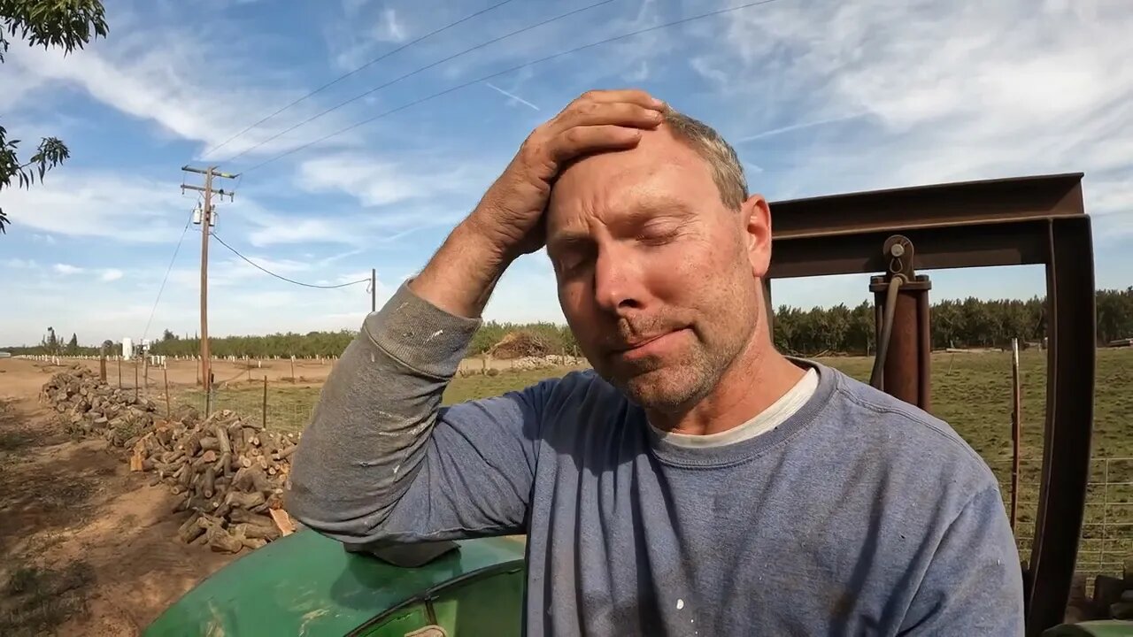 Can I prepare for winter in time? How to use a 2 foot Buzz saw and Guillotine Splitter.