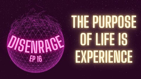 DISENRAGE #16: The Purpose Of Life Is Experience