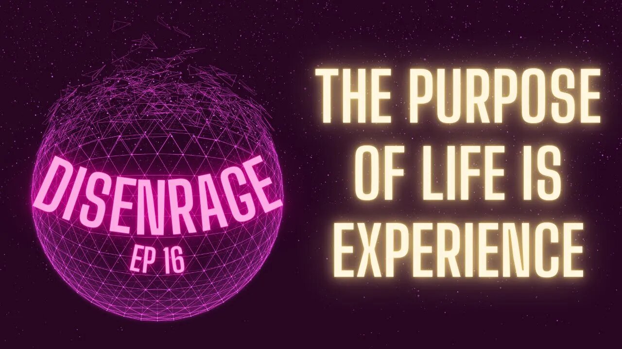 DISENRAGE #16: The Purpose Of Life Is Experience