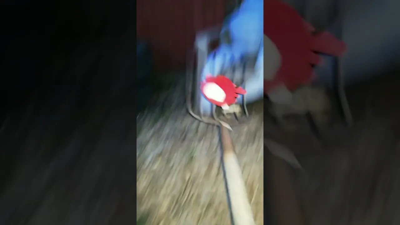 Hard Work tiktok misucculents