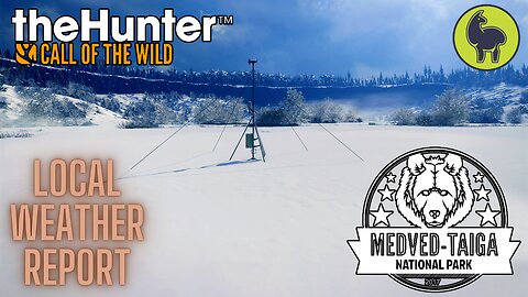 Local Weather Report, Medved Taiga | theHunter: Call of the Wild (PS5 4K)