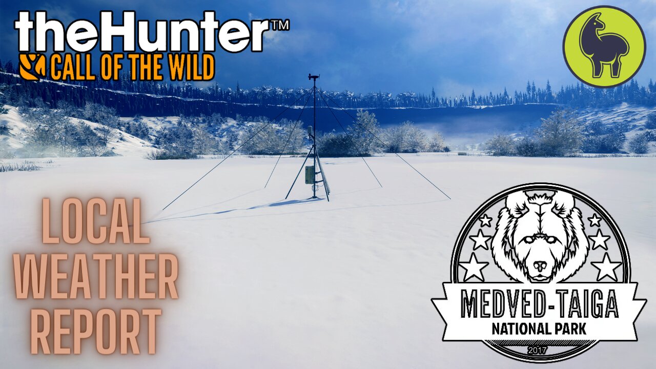 Local Weather Report, Medved Taiga | theHunter: Call of the Wild (PS5 4K)