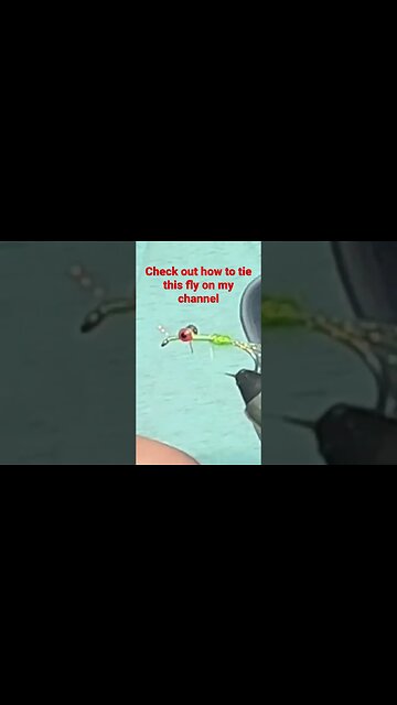 #shorts #short #fishing #flyfishing #flytying #fish #bass #crappie #panfish #bamboo