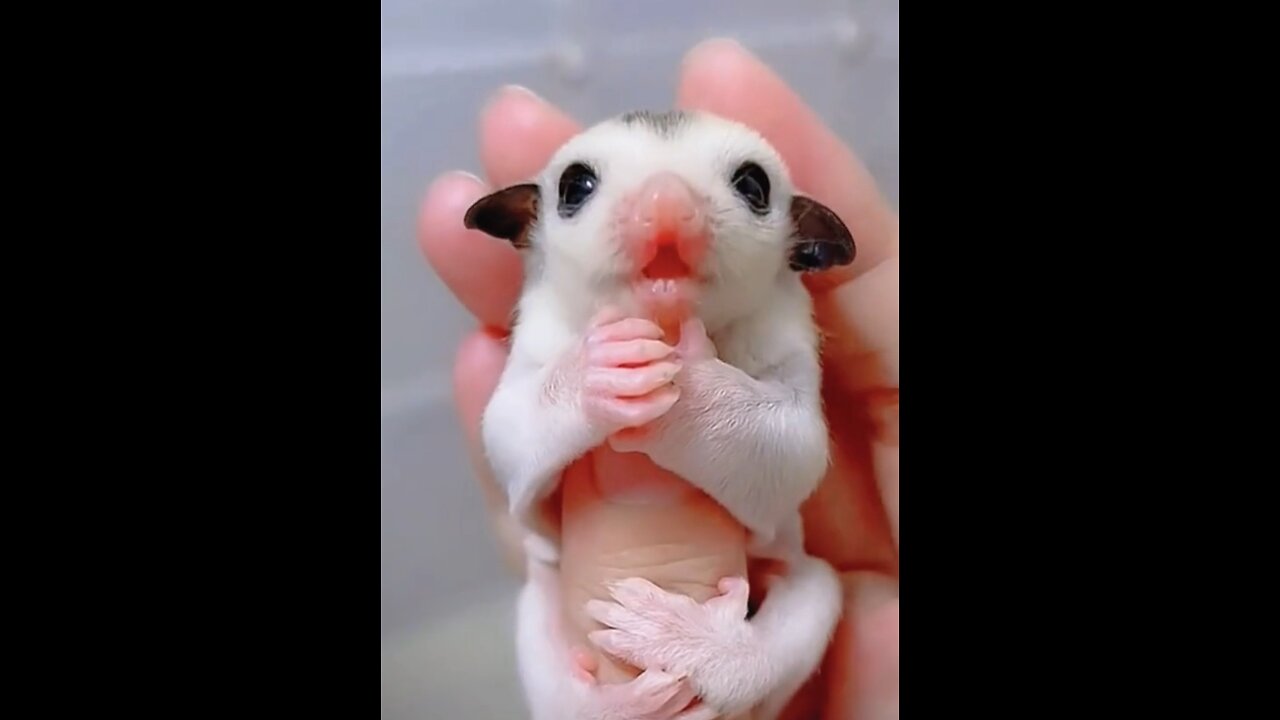 Amazing Life Journey this little one