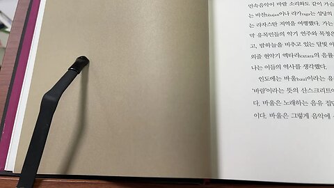 중앙아시아 인문학기항 연호탁 인도 라자스탄 엑타라 유목민 바울 아가마니 비자야 산야시 동가숙서가식 판노니아평원 악사 돔바 집시 로마니 아가마니 키르키스 마나스