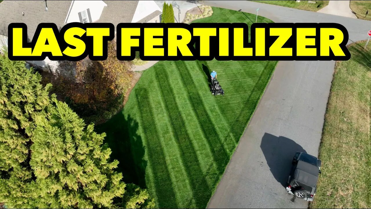 Liquid Lawn Fertilizer Winterizer Tall Fescue Grass