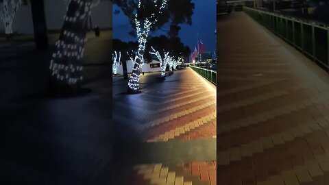 Are these Christmas trees