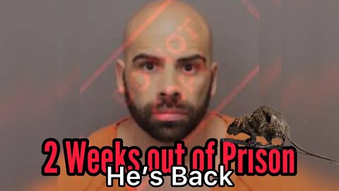 Mr Credibility Gene Borrello Less Then 2 Weeks He's Back in Jail