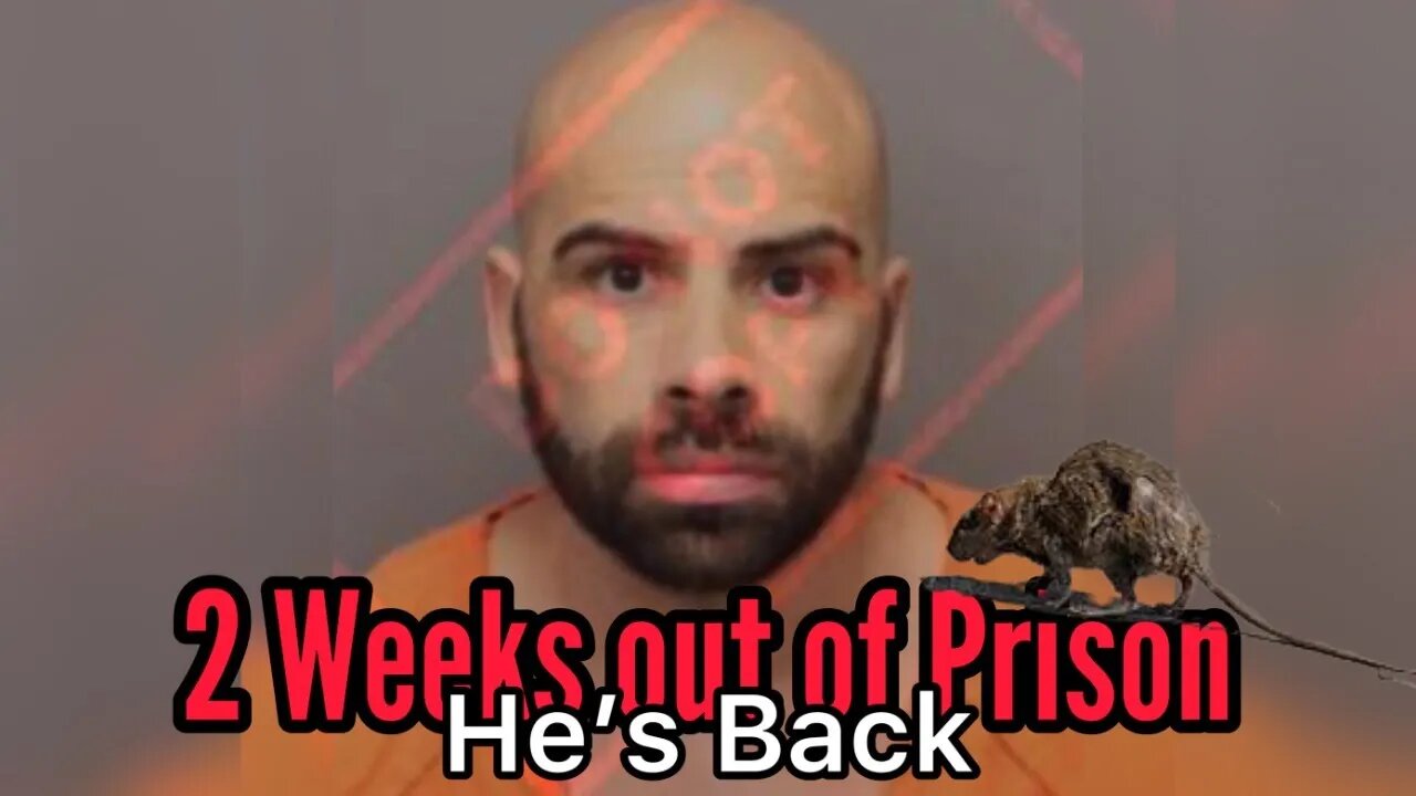 Mr Credibility Gene Borrello Less Then 2 Weeks He's Back in Jail
