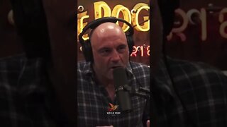 Joe Rogan on Toxoplasmosis #shorts