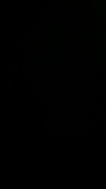 Presidential campaign speech