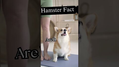 Fact or fiction animal trivia