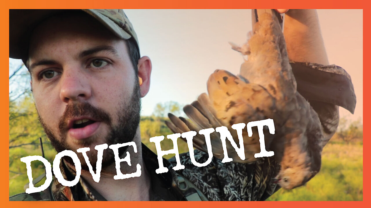 Dove Hunting & Camping Adventure!