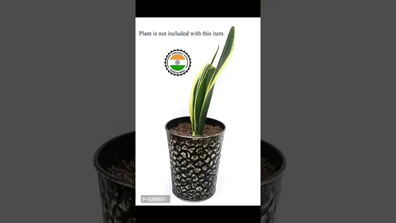 Must Have Plant & Planters Free and Easy Returns, No questions asked *Limited Stock!! Plant