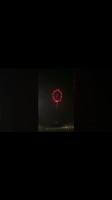 Happy 4th of July [#dogs #doggos #doggies #puppies #dogdaycare]