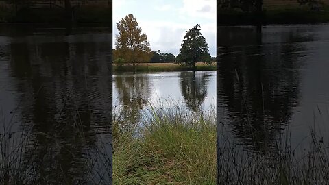 Adams Pond Richmond Park England