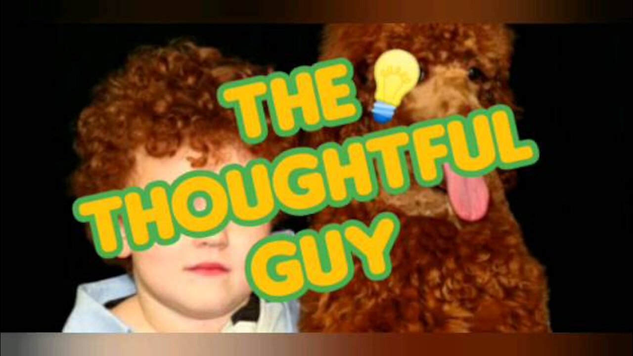 The Thoughtful Guy (If I was a Dog)