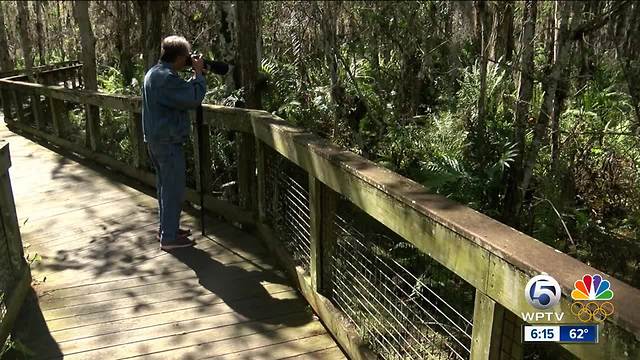 Scientists label the Everglades as critically endangered