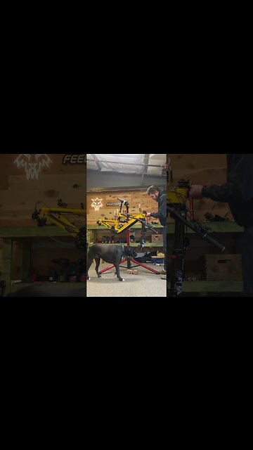 Bike build in 43 seconds! Nukeproof is ready to ride. #emtb #ytshorts