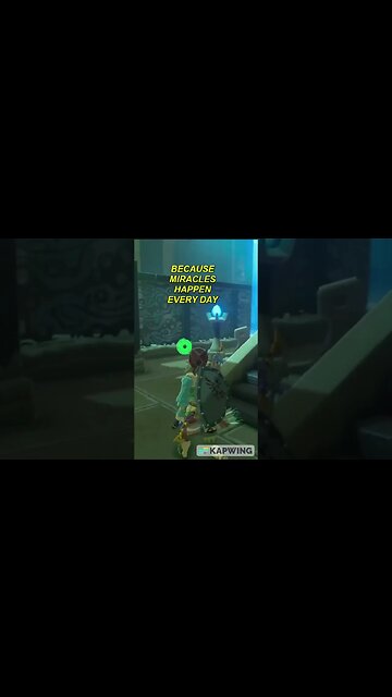 [BOTW] That Just Happened!