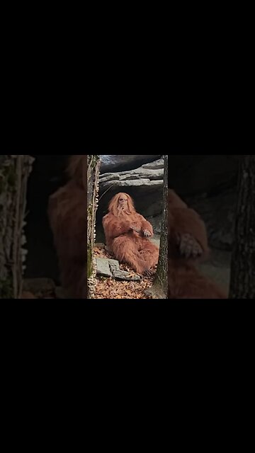We found BIGFOOT!!!!! Well, at least the meditating one!!!