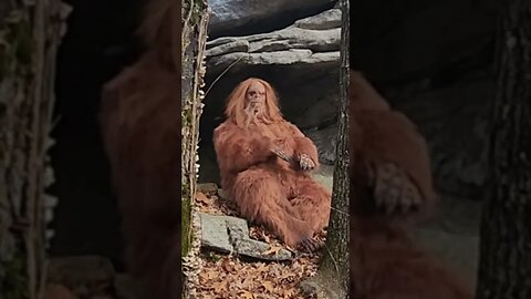 We found BIGFOOT!!!!! Well, at least the meditating one!!!