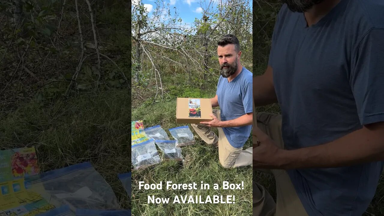 Food Forest In A Box is Now AVAILABLE! #foodforest #trees #permaculture