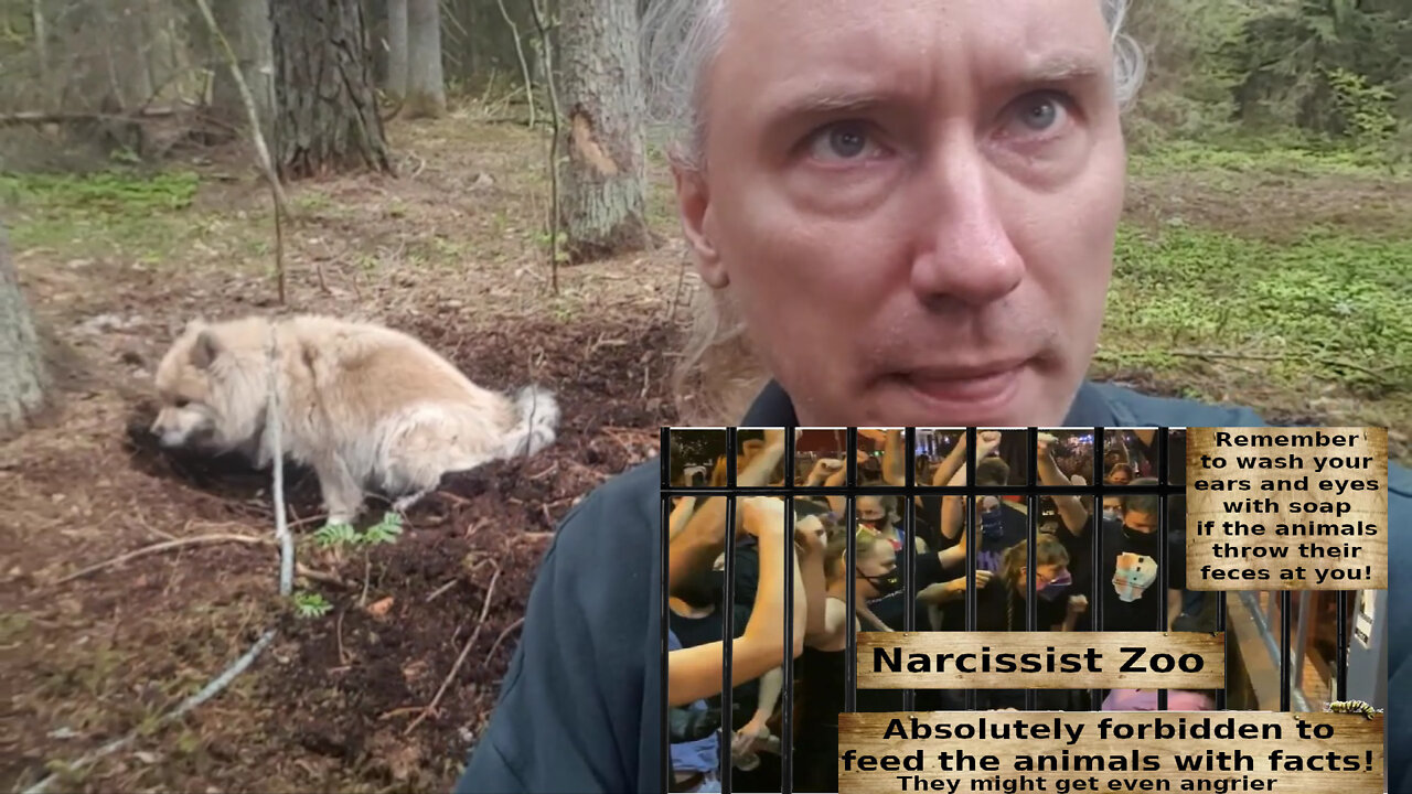 Narcissist "caring" and how to expose it. Abortion vaccine. Narcissist zoo. Rent a cave!