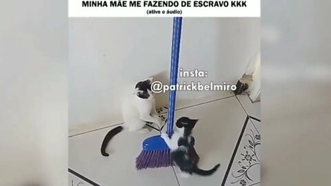 TENTE NÃO RIR - DANDO TRABALHO PRA MÃE