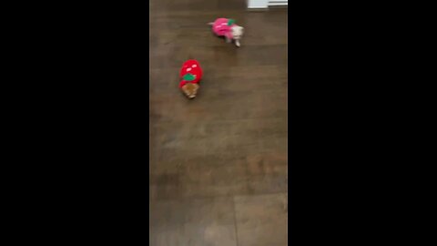 SO CUTE