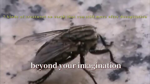 7 kinds of creatures on earth that can still move after being cut off, beyond your imagination!