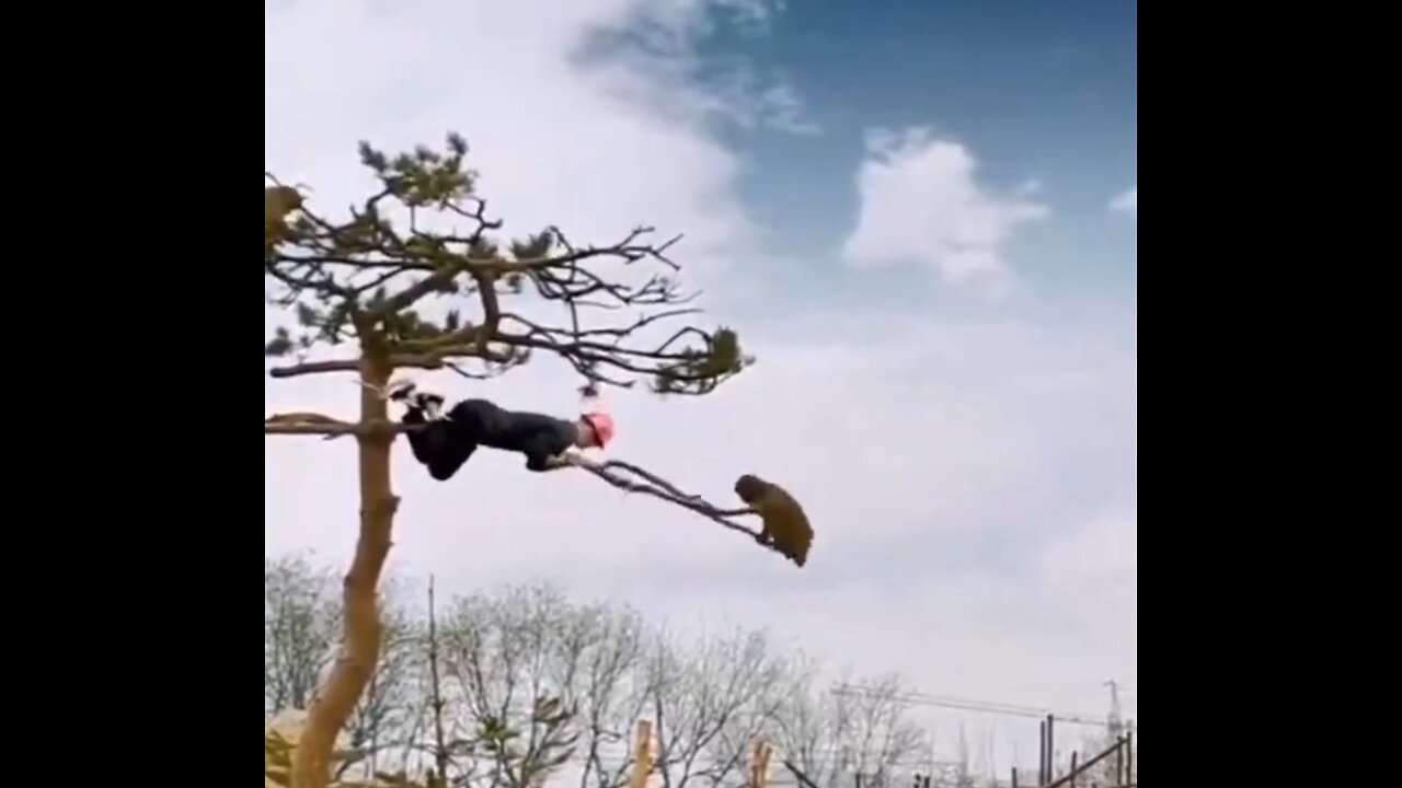 Funny animal took care of this man, epic movement 😂😂