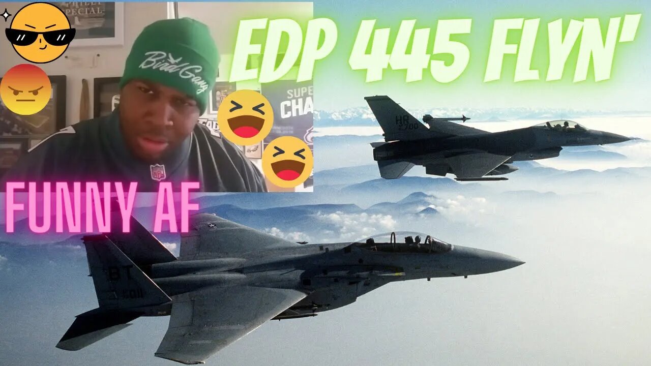 EDP 445 flyin' Su 57 jet Funny AF