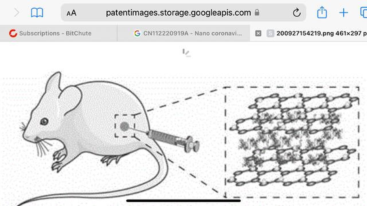 Link to Patent Application CN112220919