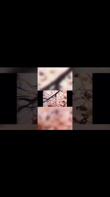 QUOTES, Founding Fathers Edition, ep47 George Washington saves his army by avoiding direct conflict