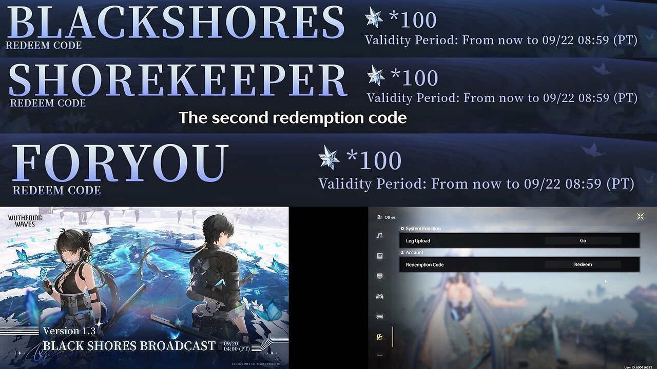 1.3 Livestream Codes (Wuthering Waves)