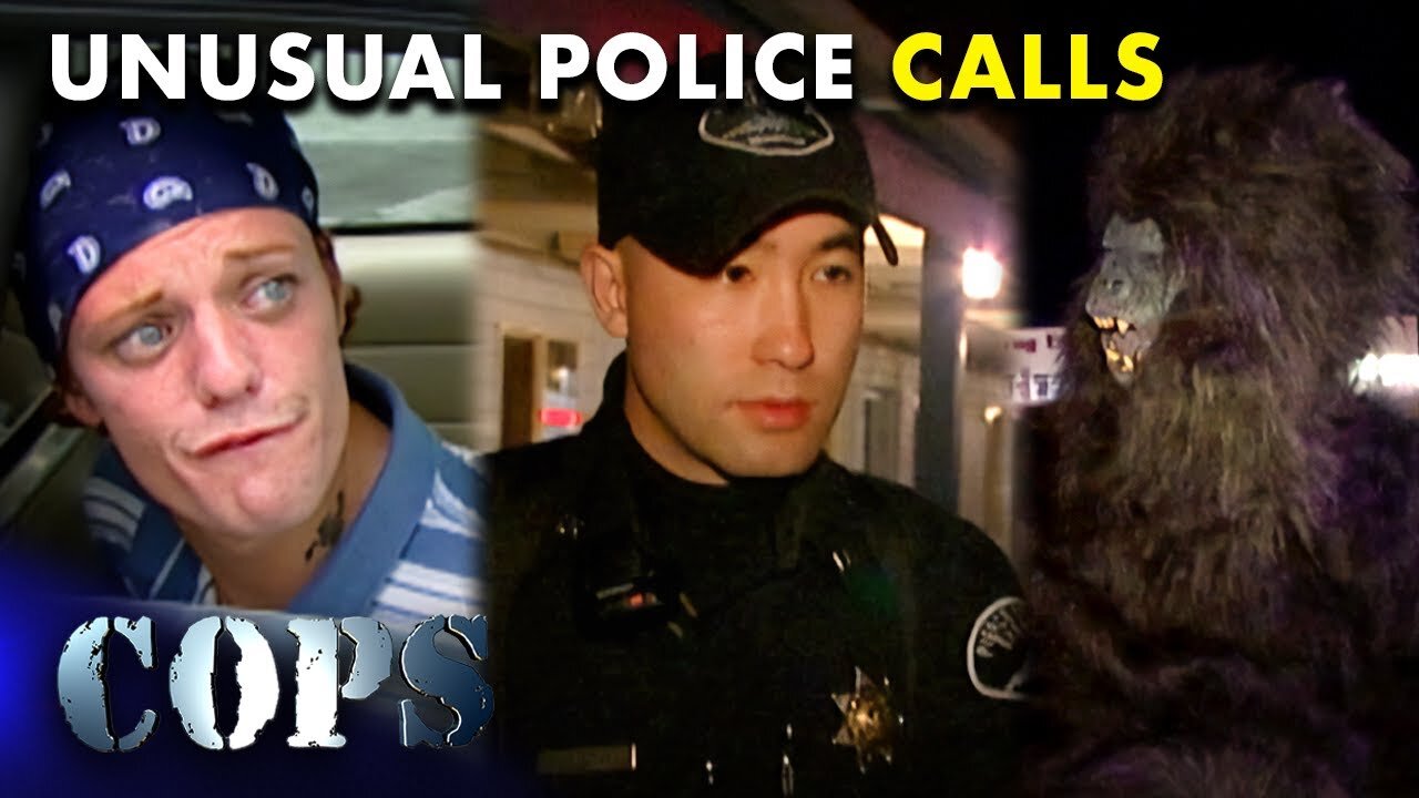 🚓🚨 Police Responses: From Motel Disturbance to Assisting a Gorilla | FULL EPISODES | Cops TV Show