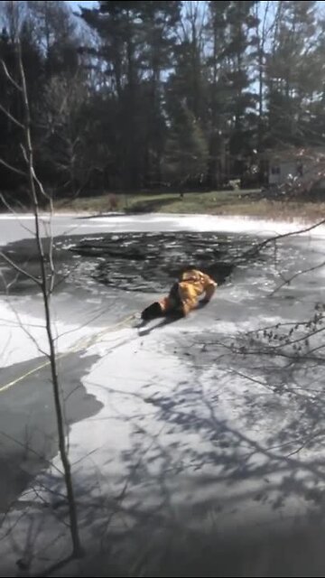 Walton Hills and Oakwood fire rescue dog from icy pond