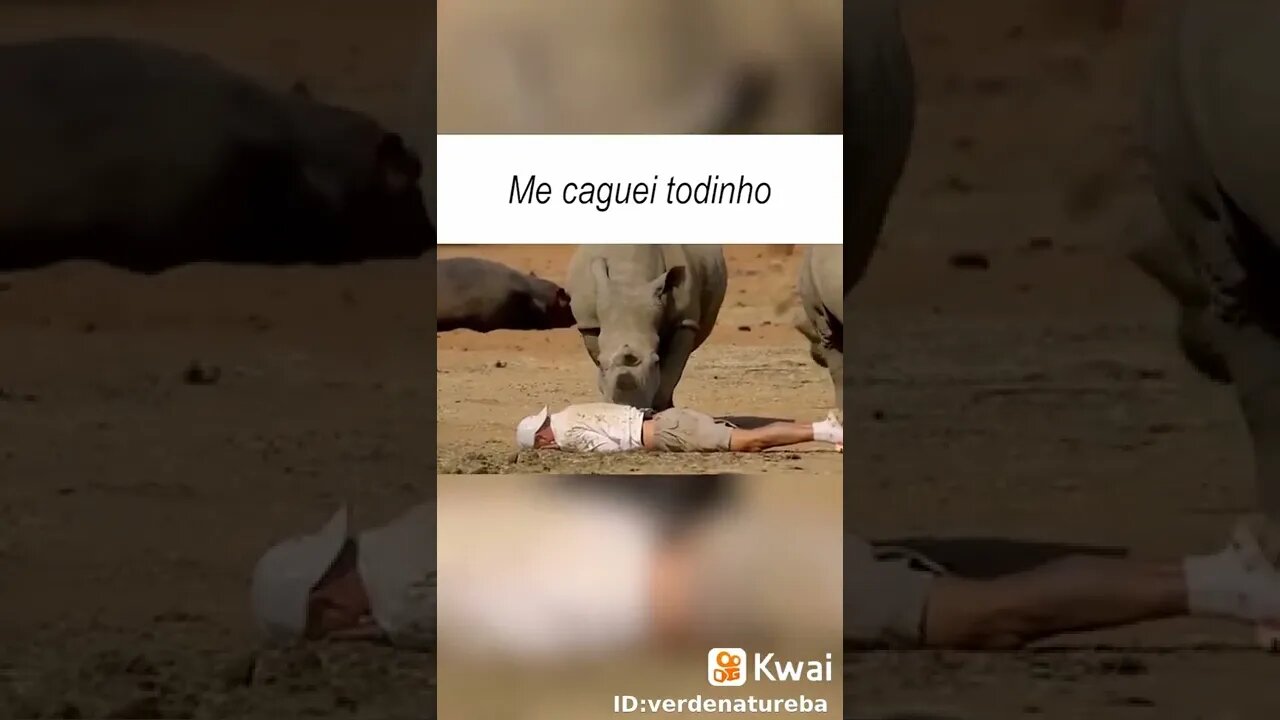 ME CAGUEI TODINHO