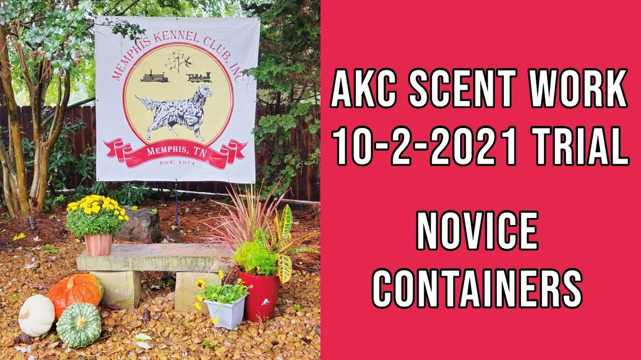 AKC Scent Work Trial - Novice Container (Juneau) - 10-2-2021