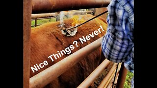 Nice Things on a Ranch (In the Chute - Round 63)