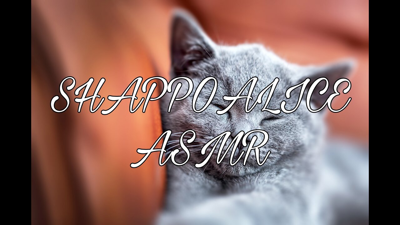 ［ShappoAlice ASMR］Cat Purring ASMR 1 Hours |貓呼嚕聲 一小時 ASMR |고양이가 한 시간 동안 코를 골다 ASMR|猫のゴロゴロ1時間ASMR